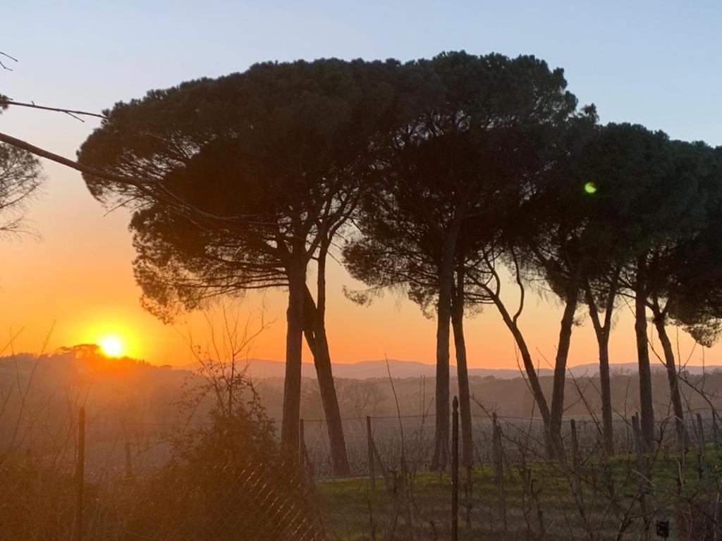 San Martinello Villa Perugia Dış mekan fotoğraf
