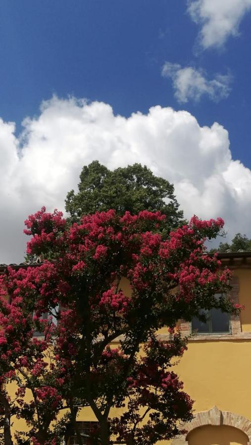 San Martinello Villa Perugia Dış mekan fotoğraf