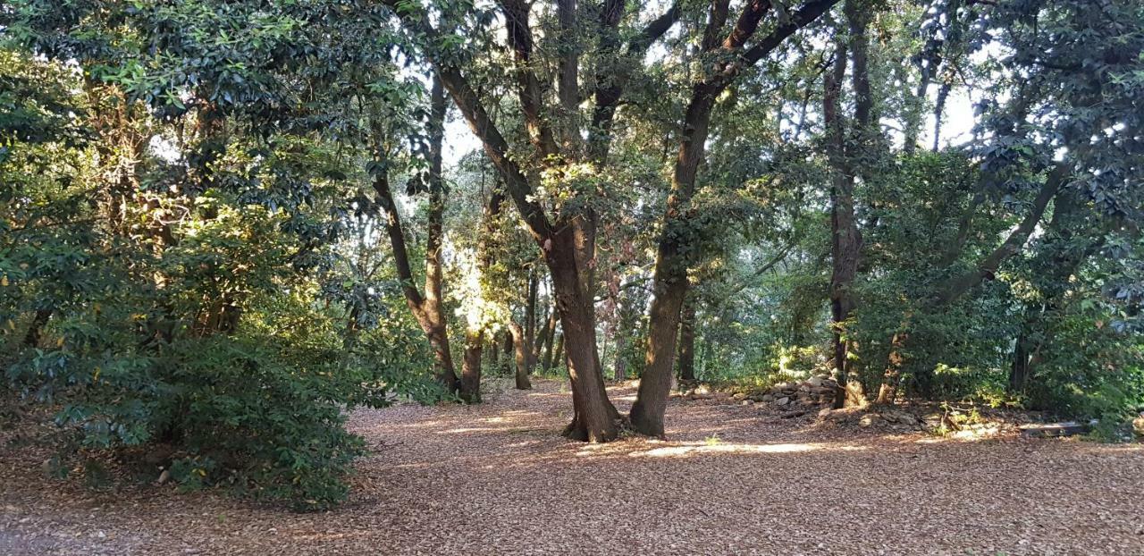 San Martinello Villa Perugia Dış mekan fotoğraf